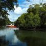 Curlew Park - Cabbage Tree Creek