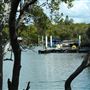 Curlew Park - Cabbage Tree Creek