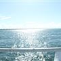 Shorncliffe Pier