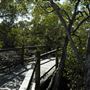 Nudgee Beach Wetlands Reserve