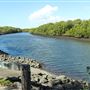 Nudgee Beach Wetlands Reserve