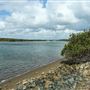 Tuckeroo Park & Dog beach