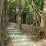 Enoggera Reservoir