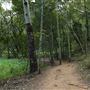 Enoggera Reservoir