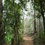 Enoggera Reservoir