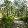 Enoggera Reservoir