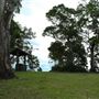 Jolly's Lookout