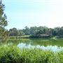 118 Green Camp Rd