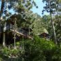 Rainforest Gardens