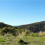 Property Mt Tamborine