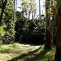 Palm Grove Property