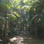 Palm Grove Property