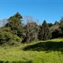 Palm Grove Property