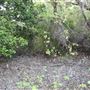 Kemp Beach and Bluff Point Scenic Walk