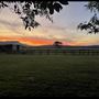 Allenview