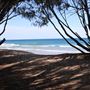 Main Beach - Phillip Park