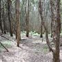 Gold Coast - Coombabah Lakelands