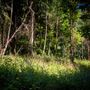 FILM Sunshine Coast Backlot