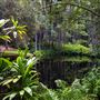 Tondoon Botanic Gardens Gladstone
