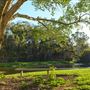 Tondoon Botanic Gardens Gladstone