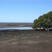 Boondall Wetlands Park