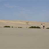 Mulgumpin (Moreton Island) - Little Sand Hills