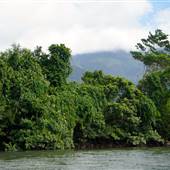 Mulgrave River (Cairns Region)