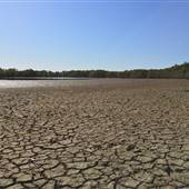 Brisbane Region - Swamps / Mangroves (St Helena Island)