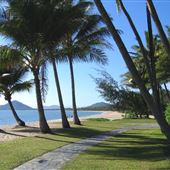 Palm Cove - Beach / Coastline