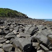 Perpetua Point / Sarina Inlet