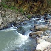 Bellthorpe National Park (Stony Creek)