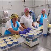 Mungalli Creek Bio-Dynamic Dairy