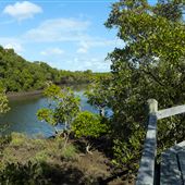 Nudgee Beach Wetlands Reserve