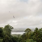 Montville - Misty View Cottages