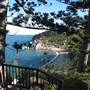 Arthur Bay (Magnetic Island)