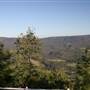 Mountain Road with Views