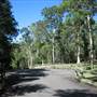 Bellbird Grove - D'Anguilar National Park