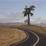Boonah - Rathdowney Road