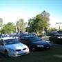 Mt Coot-tha Botanical Gardens