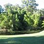 Mt Coot-tha Botanical Gardens