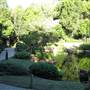 Mt Coot-tha Botanical Gardens