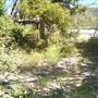 Mackay Region - Carlisle Island