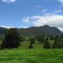 Cedar Glen Farmstay