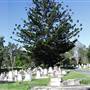 South Brisbane Cemetery
