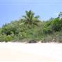 Cairns Region - Ellis Beach