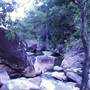 Whitsundays - Finch Hatton Gorge