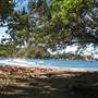 Florence Bay (Magnetic Island)