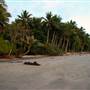 Port Douglas - Four Mile Beach