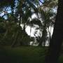 Garden Island