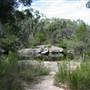 Warwick Region - Girraween National Park